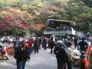 箕面滝道2010.11.25