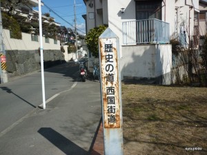 P1000613