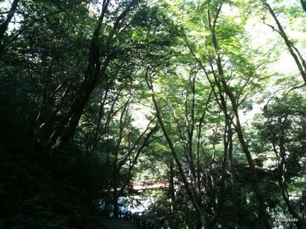 minoo2011.09.25