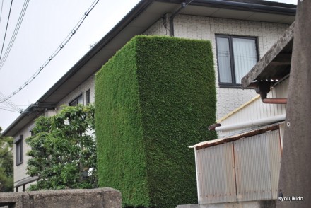 2012.03.06scuare
