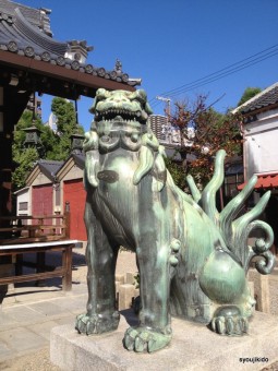 1-IMG_1642