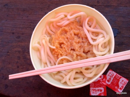 でたーって、シンプル過ぎんか？麺の下にいろいろとを期待