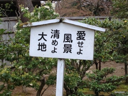 壮大すぎて、まずどうしていいのかわかりません