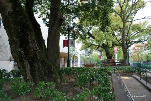 宝塚大劇場への道